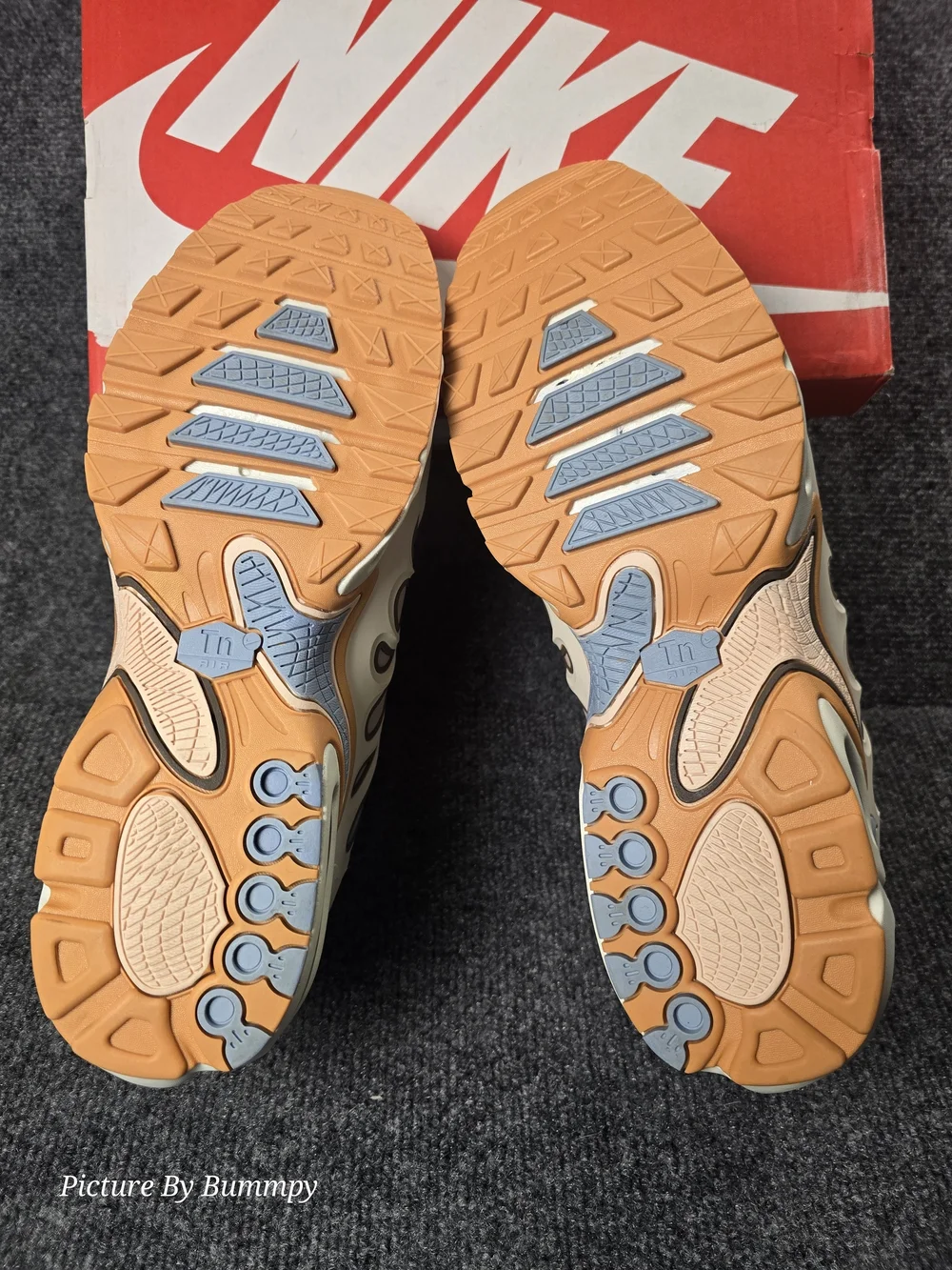 Nike Air Max Plus Drift 